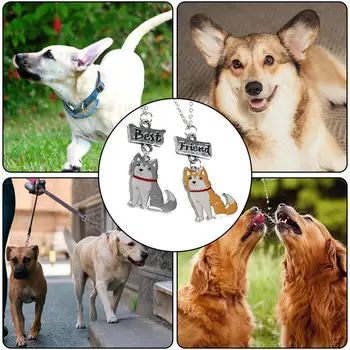 Ожерелье с подвеской для собаки, очаровательная подвеска с собачьим ошейником, памятные подарки для домашних животных, уникальный кулон для пикника, принадлежности для собак